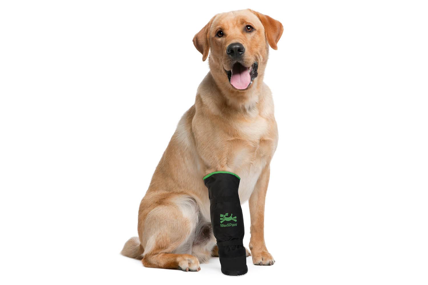 Yellow lab wearing x-boot on paw